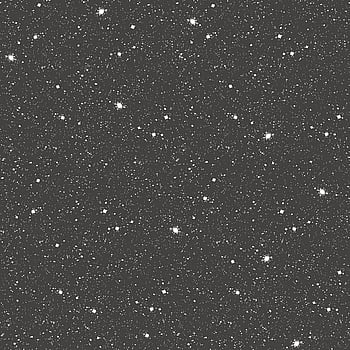 Galerie Wallcoverings Product Code G78407 - Tiny Tots 2 Wallpaper Collection - Black Glitter Colours -  