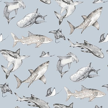 Galerie Wallcoverings Product Code G78591 - Kids & Teens Wallpaper Collection - Pale Blue Choke Greys Colours -  