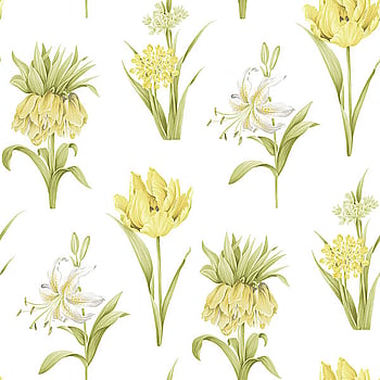 Galerie Wallcoverings Product Code PA34232 - Paradise Wallpaper Collection -   